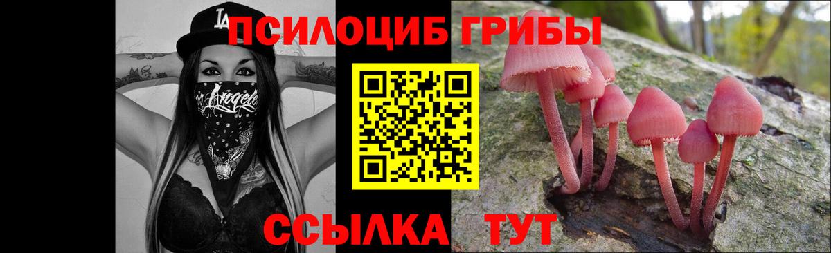 Псилоцибиновые грибы Cubensis Ирбит